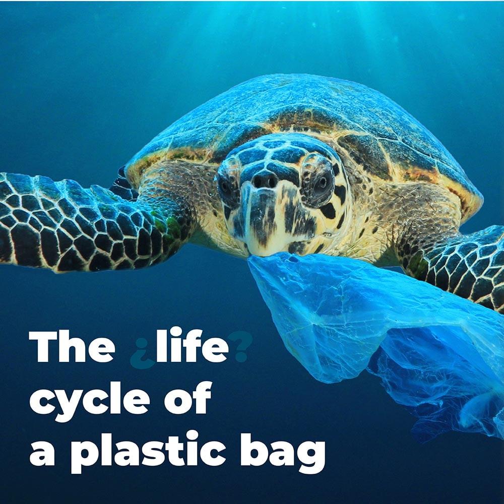 The-life-cycle-of-a-plastic-bag