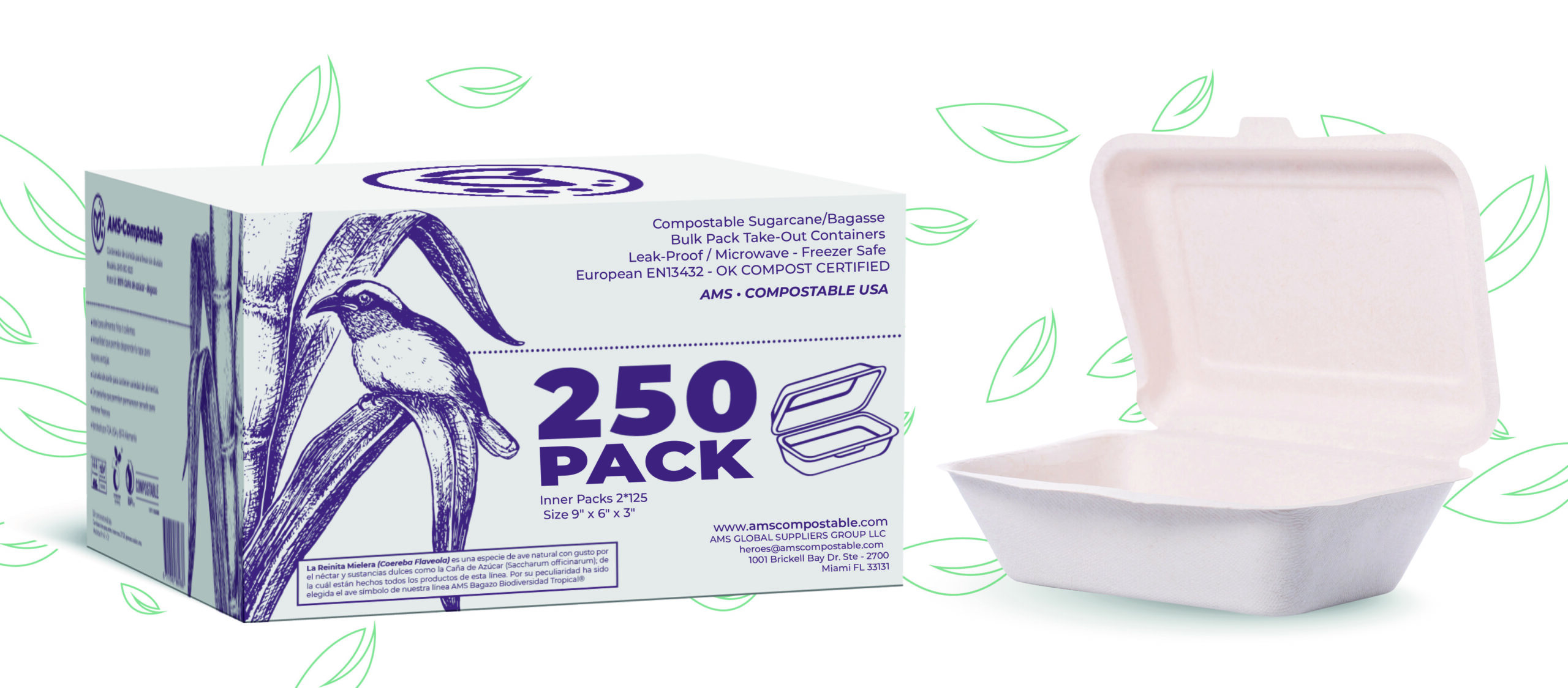 compostable take out container - compostable box